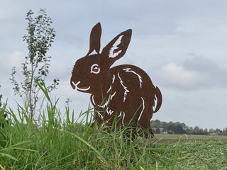 AC13 - Lapin de profil